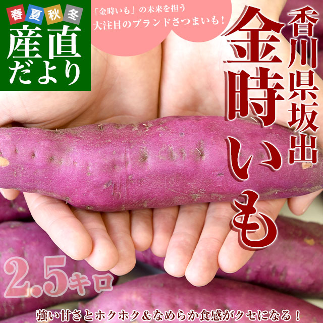 香川県産 JA香川県 坂出金時いも 秀品Lサイズ2.5キロ 9本前後 送料無料