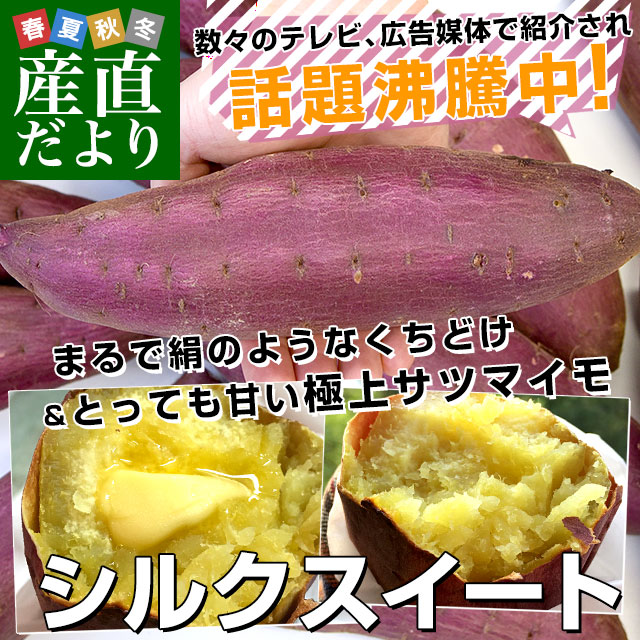 千葉県産 JAかとり シルクスイート Lサイズ2.5キロ 7本前後 送料