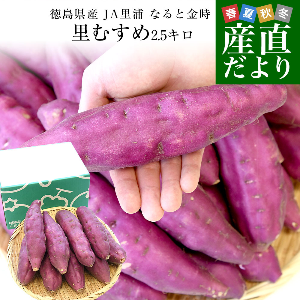 徳島県産 JA里浦 なると金時「里むすめ」 Lサイズ2.5キロ 10本前後