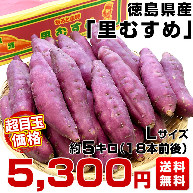 徳島県産 JA里浦 なると金時「里むすめ」 Lサイズ 約5キロ 18本前後 送料無料 きんとき さつまいも サツマイモ 薩摩芋 新芋 高系14号 市場発送  :4100922751:産直だより - 通販 - Yahoo!ショッピング