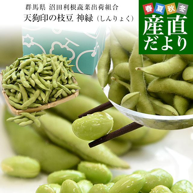 群馬県 沼田利根蔬菜出荷組合 天狗印の枝豆 神緑（しんりょく）1キロ (250g×4袋) 青豆 送料無料 えだまめ てんぐえだまめ｜産直だより