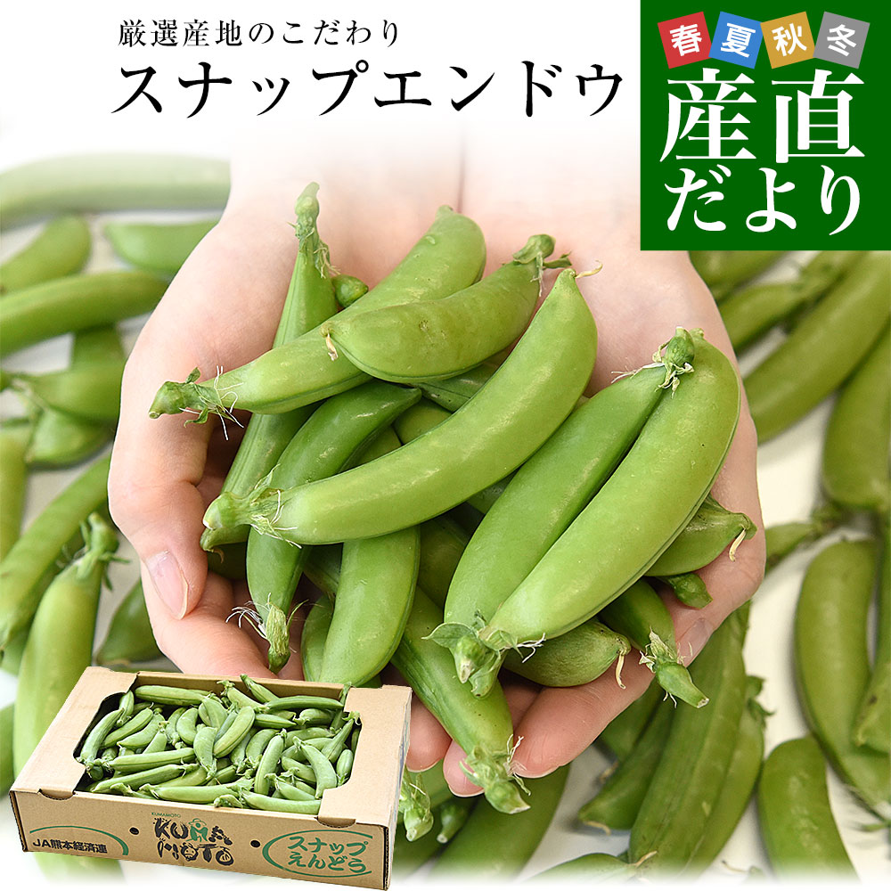 厳選産地のこだわりスナップエンドウ 秀品 Lサイズ 約1キロ 送料無料