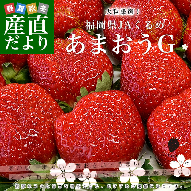 福岡県より産地直送 JAくるめ あまおうG 約540g（270g×2p入り）計12粒