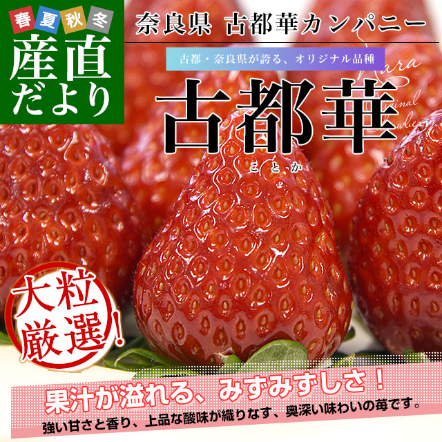 奈良県 古都華カンパニー 古都華(ことか) 化粧箱 約550g (11粒から15粒