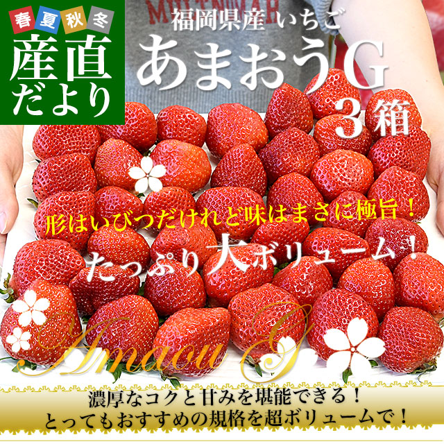 福岡県産 超盛りあまおう G たっぷり3箱 合計1.6キロ以上（約270g×6