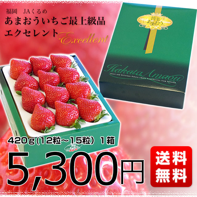 福岡県より産地直送 JAくるめ あまおういちご EX:最上級品エクセレント 420g(12粒から15粒) 苺 いちご イチゴ ストロベリー｜sanchokudayori｜03