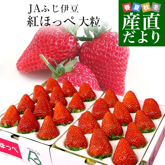 静岡県より産地直送 JAふじ伊豆 紅ほっぺ 超特大タイプ 900g　(9粒から15粒入り×2P）送料無料 いちご イチゴ 苺