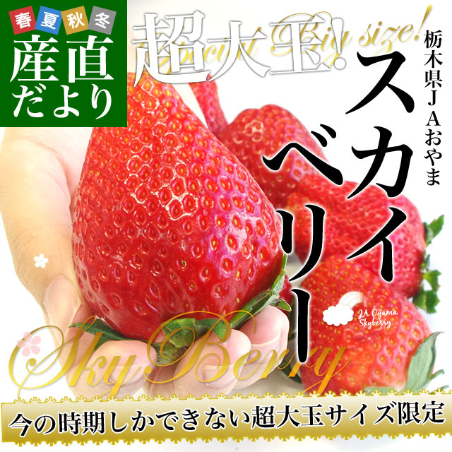 栃木県より産地直送 JAおやま スカイベリー 超大粒 280g×2P (5粒から６粒×2P) いちご イチゴ ※クール便