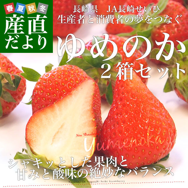 長崎県産　ゆめのかいちご　1パック約250g×10パック A 長崎県産 ゆめのか（いちご）1箱（大玉約250g×2P）JA島原雲仙