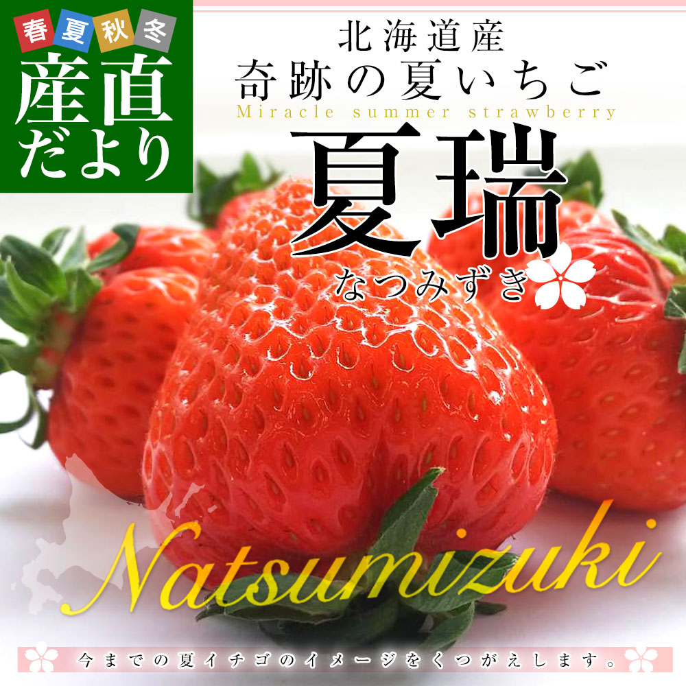 北海道より産地直送 高級いちご 夏瑞（なつみずき）約180g（6粒から7粒