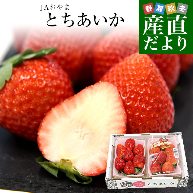 栃木県より産地直送 JAおやま 大粒 とちあいか 1箱 約540ｇ (270ｇ×2パック) 合計10粒から14粒 送料無料 いちご イチゴ 苺 クール便