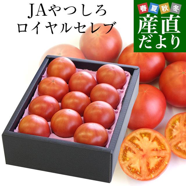 熊本県より産地直送 JAやつしろ フルーツトマト ロイヤルセレブ 約1キロ LからSサイズ(9から16玉) とまと｜sanchokudayori
