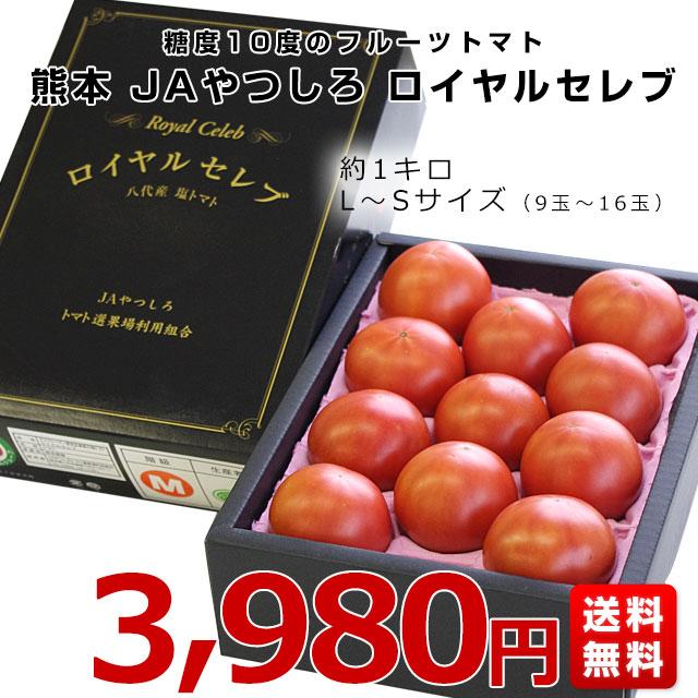 熊本県より産地直送 JAやつしろ フルーツトマト ロイヤルセレブ 約1キロ LからSサイズ(9から16玉) とまと｜sanchokudayori｜03
