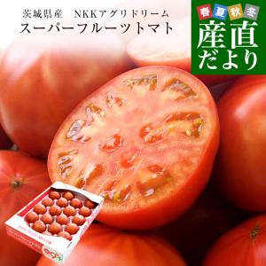 茨城県より産地直送 NKKアグリドリーム スーパーフルーツトマト 9度＋ A品 約3キロ(20玉から35玉)  送料無料 高糖度トマト NKKトマト