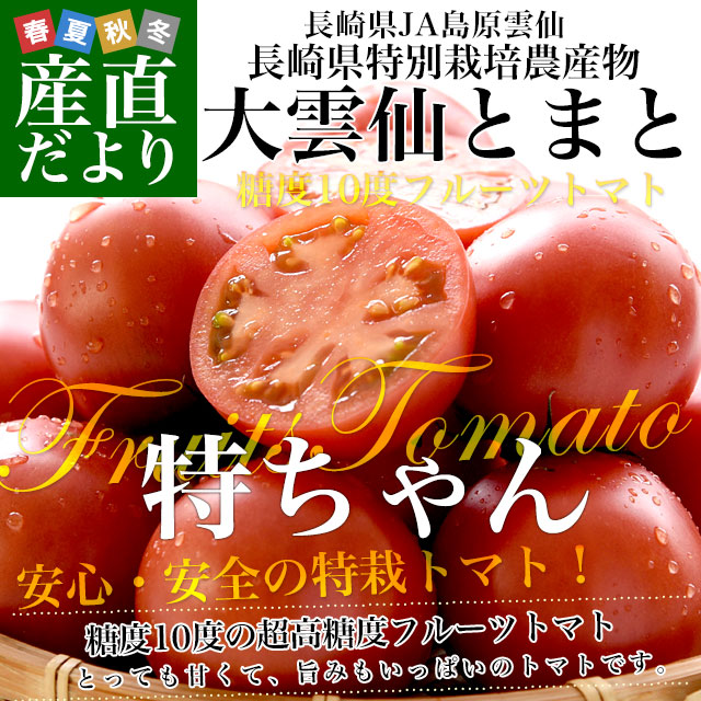 長崎県産 JA島原雲仙 特別栽培 大雲仙トマト「特ちゃん」 約1キロ (12玉から18玉) 送料無料 特別栽培農産物 エコファーマー 減農薬栽培 市場発送｜sanchokudayori｜02