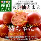 長崎県産 JA島原雲仙 特別栽培 大雲仙トマト...の詳細画像1