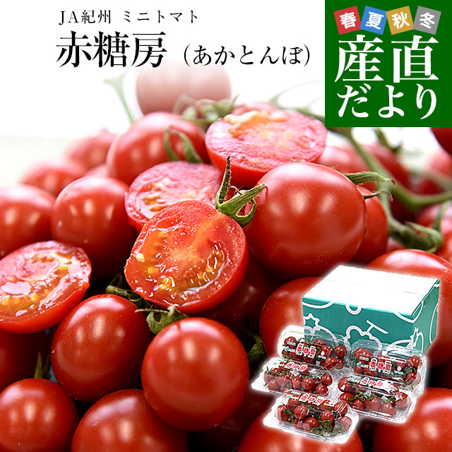 和歌山県 JA紀州 ミニトマト 赤糖房（あかとんぼ）秀品 約800g（約160g