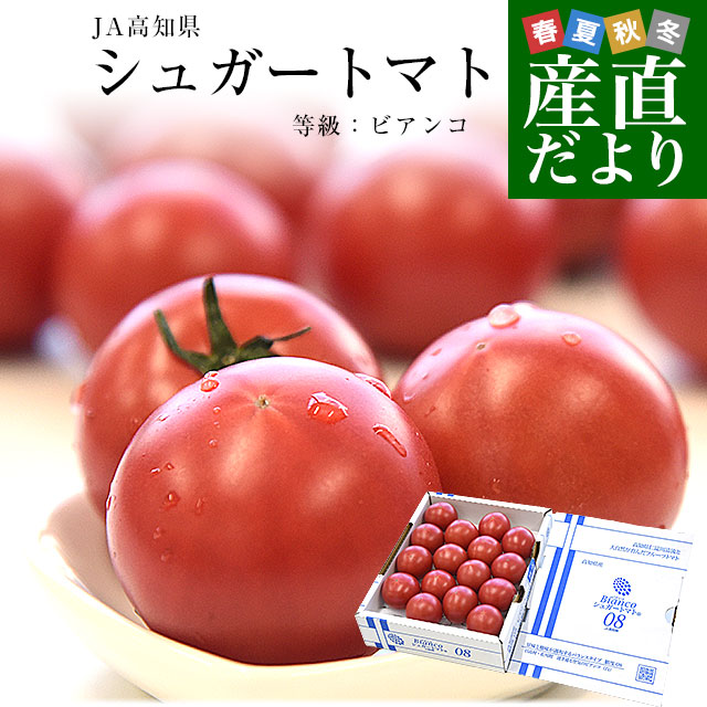 高知県産 JA高知県 シュガートマト 糖度8度以上 等級：ビアンコ 約800g