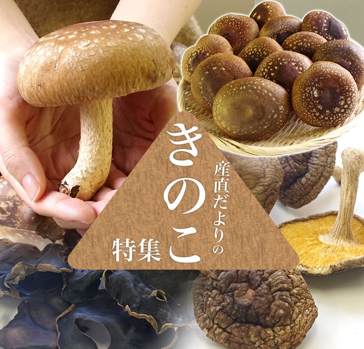 産直だより - 産直だよりのきのこ(産直だよりの野菜)|Yahoo!ショッピング 産直だより - 産直だよりのきのこ(産直だよりの野菜)|Yahoo!ショッピング