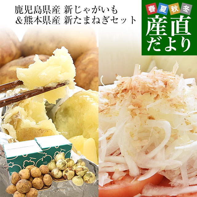 玉ねぎジャガイモＢ品ハーフ10キロ小豆6キロ 送料別/10キロ】おきのえらぶ島産じゃがいも※他商品同梱包不可 | おき