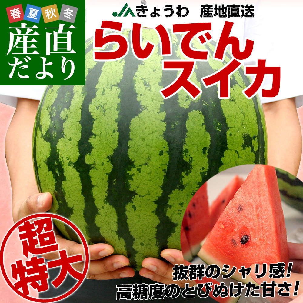 北海道より産地直送 JAきょうわ らいでんスイカ 超特大 優品5Lサイズ
