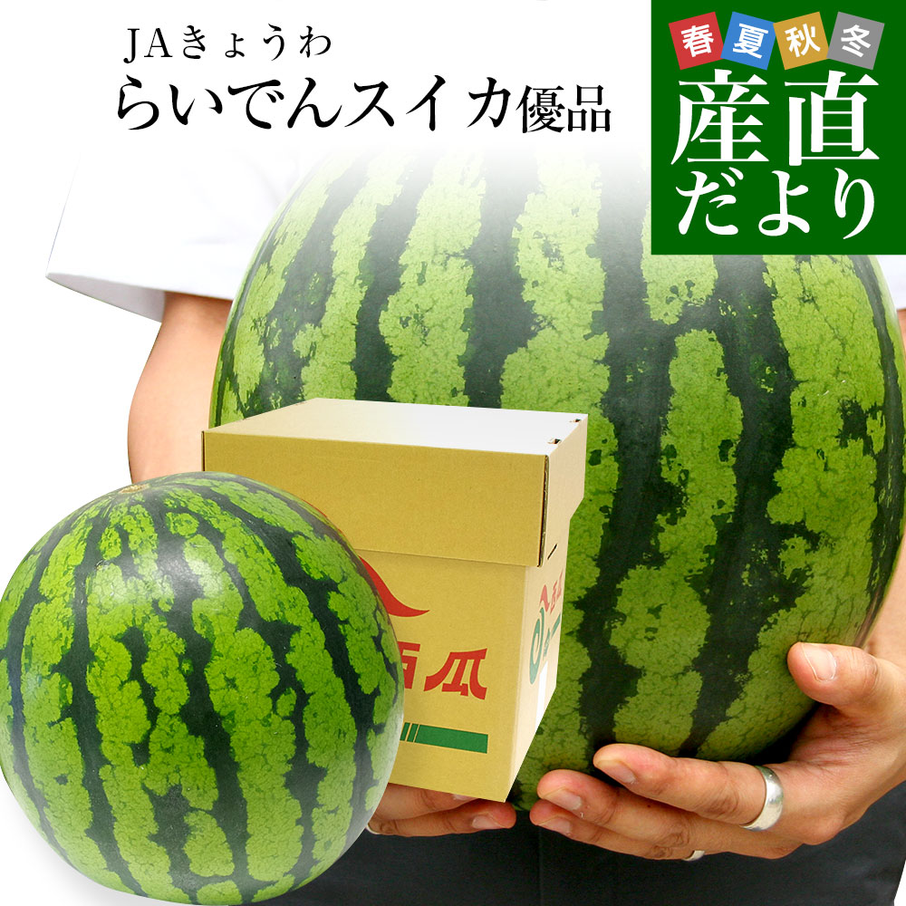 北海道より産地直送 JAきょうわ らいでんスイカ 超特大 優品5Lサイズ