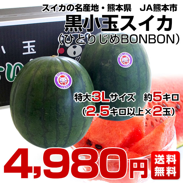 熊本県より産地直送 JA熊本市 黒小玉スイカ(ひとりじめBONBON) ３Lサイズ 約5キロ (2.5キロ以上×2玉)　西瓜 すいか