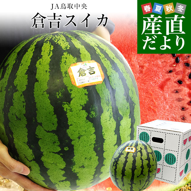 鳥取県産JA鳥取中央 倉吉スイカ 秀品 大玉4Lサイズ 9キロ以上 1玉 西瓜 