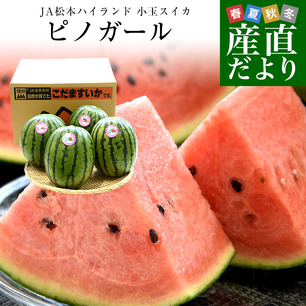 長野県産 JA松本ハイランド ピノガール (小玉スイカ) A品 3Lから4L 