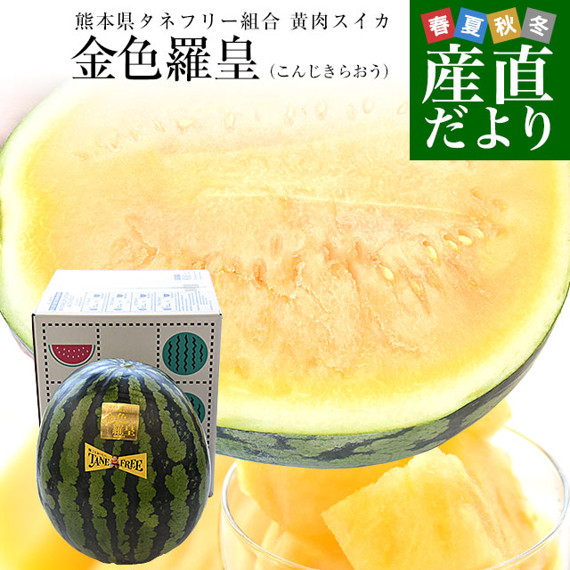 即発送！熊本産 1番花！金色羅皇スイカ 2L（6〜7k） かめまる