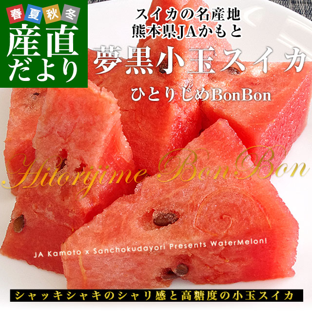 熊本県産 JAかもと 夢黒小玉スイカ(ひとりじめBONBON) 4Lサイズ