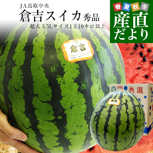 鳥取県産JA鳥取中央 倉吉スイカ 秀品 超大玉5Lサイズ 10キロ以上
