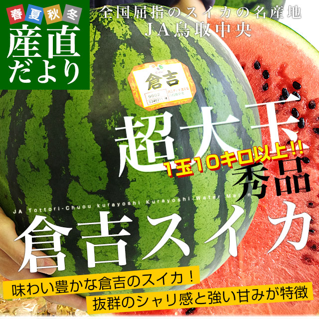 香*月様 スイカ大サイズ手作り額付き作品　title「一陽来福ニャンコ」 おつきさま 秀品 7kg以上×1玉 (月形町特産大玉スイカ) 北海道産