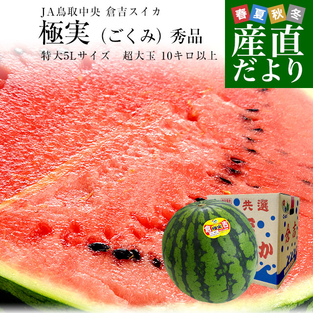 鳥取県産 JA鳥取中央倉吉スイカ 極実（ごくみ） 秀品 特大5L