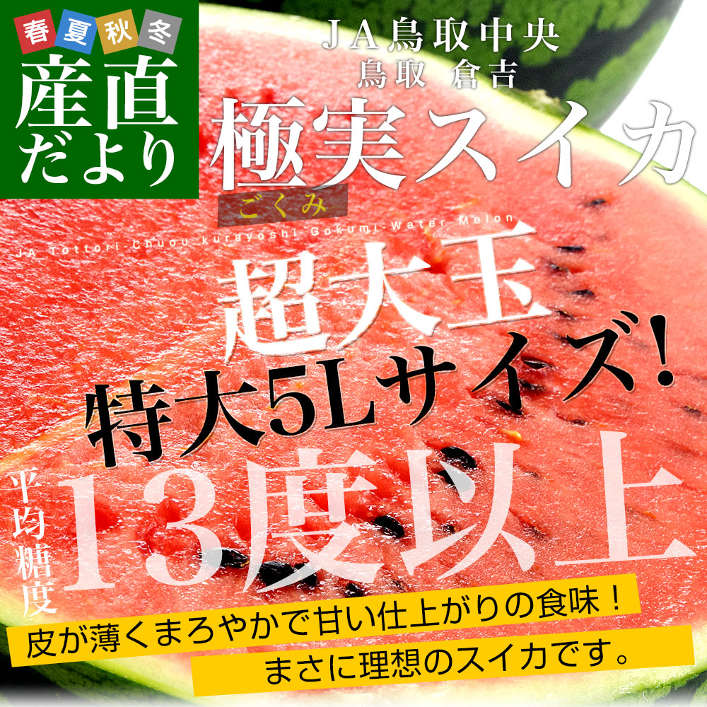鳥取県産 JA鳥取中央倉吉スイカ 極実（ごくみ） 秀品 特大5Lサイズ