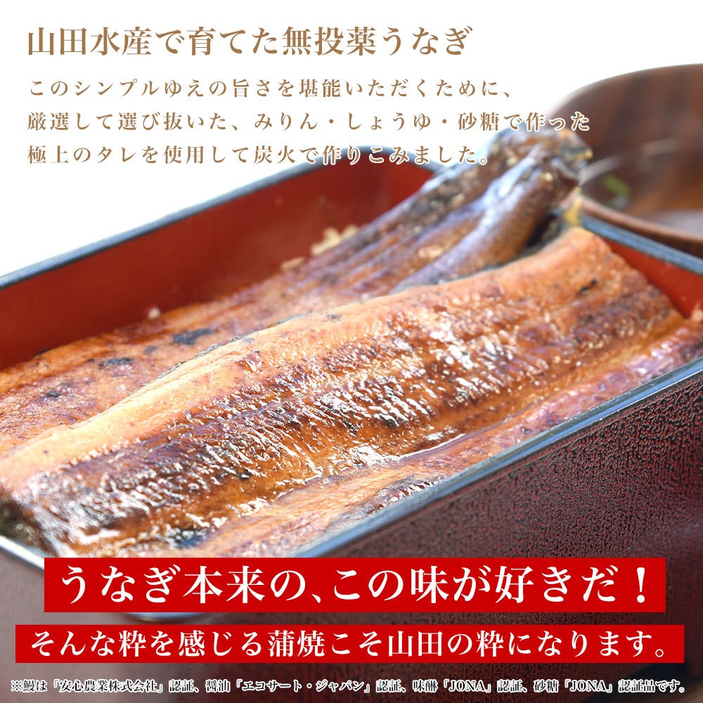 鹿児島県産 山田水産の極上国産うなぎ蒲焼「山田の粋(やまだのいき)」長焼(120g×4尾)送料無料 鰻蒲焼 ウナギ :3100342001:産直だよりPLUS うなぎの駅 - 通販 - Yahoo!ショッピング 鹿児島県産 山田水産の極上国産うなぎ蒲焼「山田の粋(やまだのいき)」長焼(120g×4尾)送料無料 鰻蒲焼 ウナギ :3100342001:産直だよりPLUS うなぎの駅 - 通販 - Yahoo!ショッピング