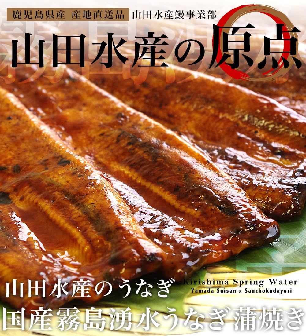 超人気 鹿児島県産 山田水産の国産うなぎ 霧島湧水うなぎ蒲焼 長焼き 140g 5尾 鰻蒲焼 ウナギ 人気が高い Iniciatupyme Cl