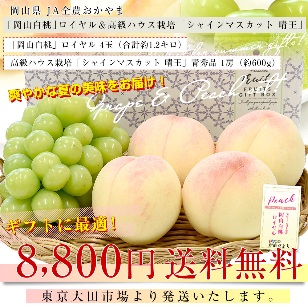 岡山県 JA全農おかやま フルーツセット 岡山白桃 ロイヤル 4玉 (合計約 