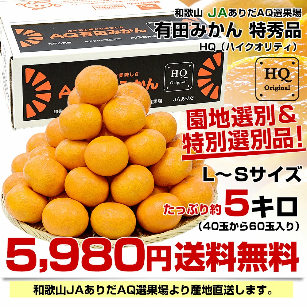 極早生みかん 小玉みかん (2Sサイズ以下)有田みかん 産地直送