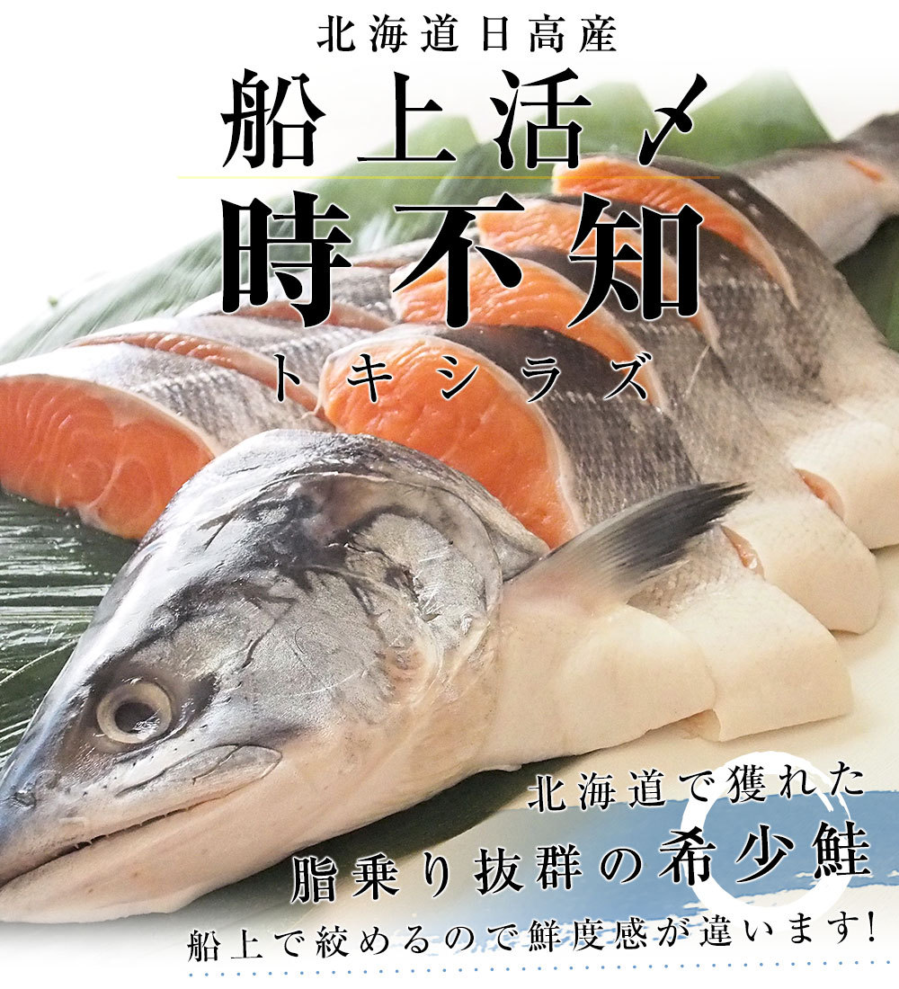 北海道から直送 北海道日高産 船上活〆 時不知 トキシラズ 半身 姿切身 約1キロ 北海道サケ シャケ 時鮭 産直だより 通販 Yahoo ショッピング