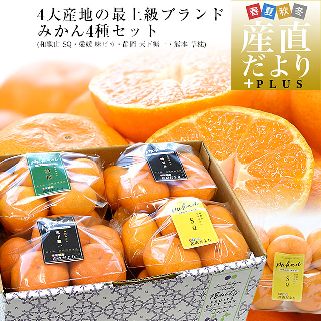 最上級みかん4種詰め合わせ(SQ・味ピカ・天下糖一・草枕) LからSサイズ
