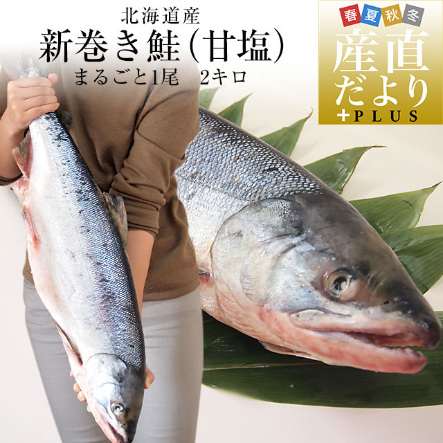北海道から産地直送 北海道産 新巻き鮭（甘塩） まるごと1尾 2