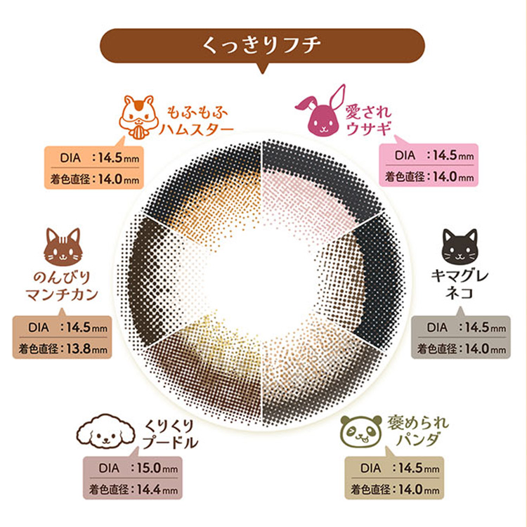 Flurry by colors カラコン ワンデー 10枚入り 1箱 フルーリーby