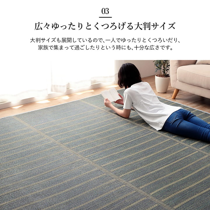 い草 ラグ カーペット ござ 正方形 4.5畳 約 240×240cm おしゃれ 畳