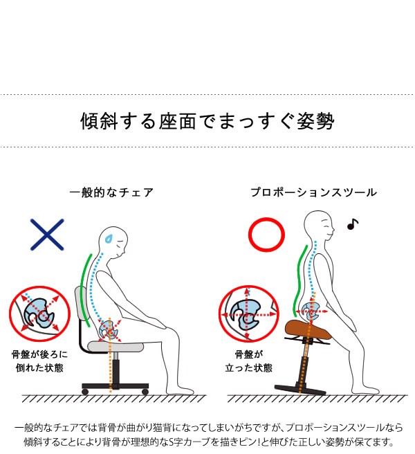 プロポーションスツール ハイタイプ 健康 チェア 姿勢 矯正 バランス