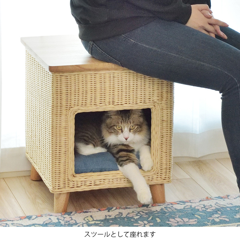 ペットハウス 室内 スツール キャットハウス ネコ 猫 犬 おしゃれ 座れる 角型 クッション 椅子 チェア ラタン 北欧 モダン シンプル  一人暮らし 新生活