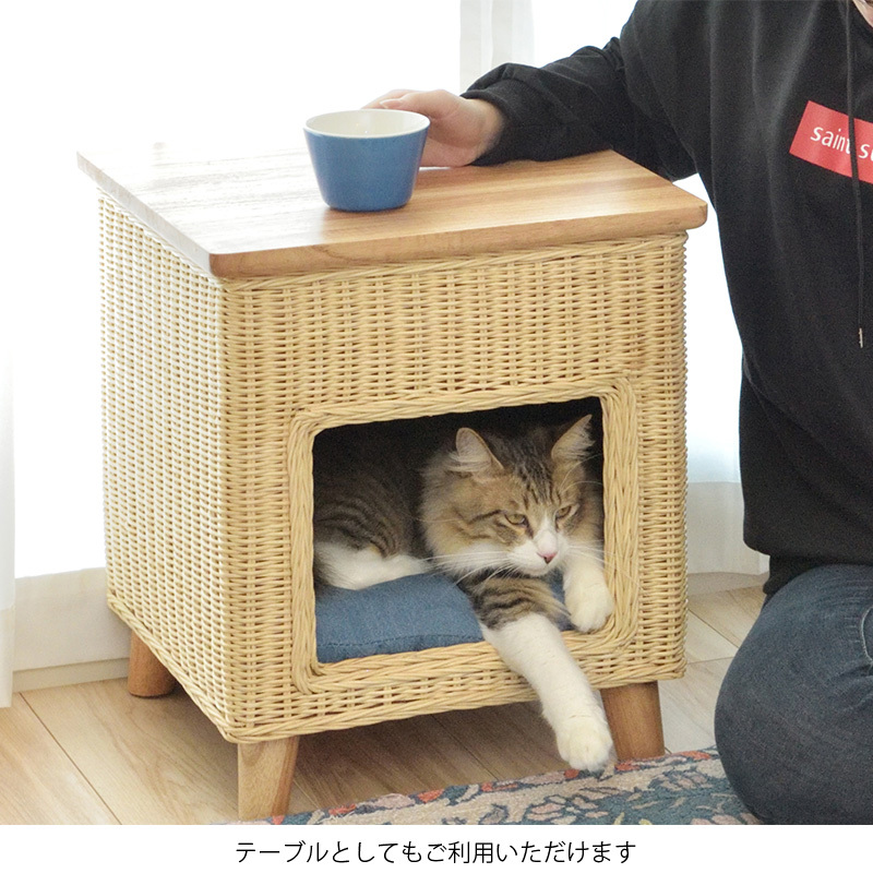 ペットハウス 室内 スツール キャットハウス ネコ 猫 犬 おしゃれ 座れる 角型 クッション 椅子 チェア ラタン 北欧 モダン シンプル  一人暮らし 新生活