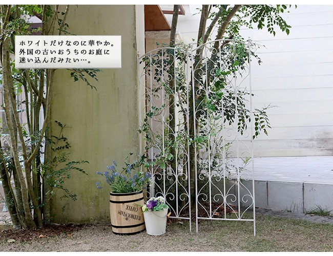 アイアントレリス：ブラウン／PL08-9920（幅40cm、高さ109cm