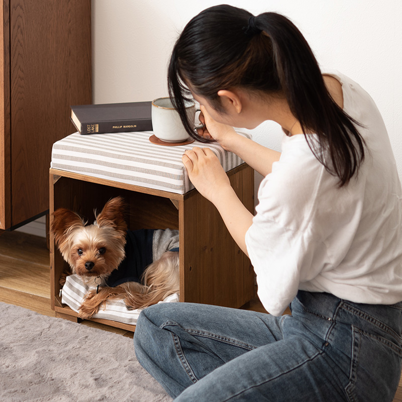 ペットハウス 室内 スツール 木製 キャットハウス ネコ 猫 犬 おしゃれ
