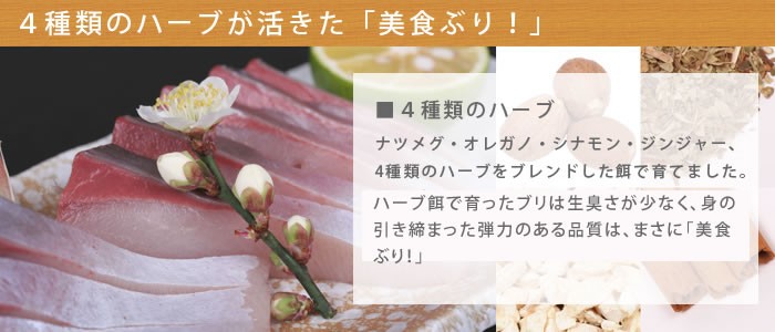 魚特有の匂いが苦手な方にお試しいただきたいです